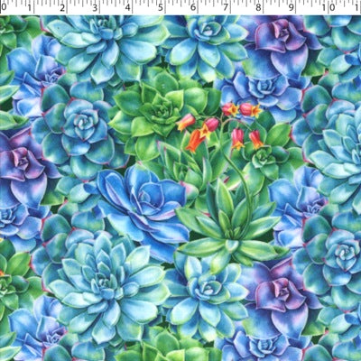 CHENILLE DIGITAL PRINTS - SUCCULENTS