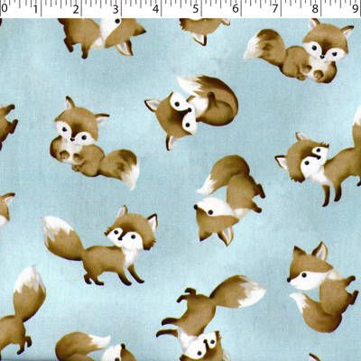 SPECIAL DELIVERY COORDINATES - BABY FOX