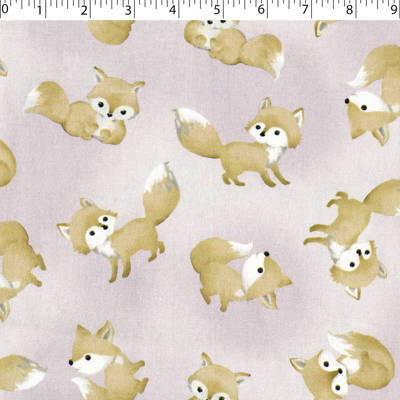 SPECIAL DELIVERY COORDINATES - BABY FOX