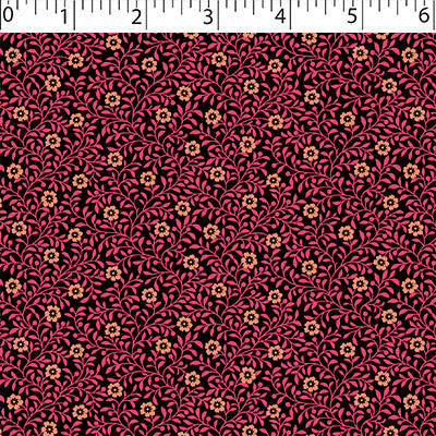 BLOOMFIELD CALICOS - DELPHINE