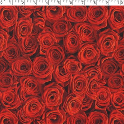 BE MY VALENTINE - RED ROSES