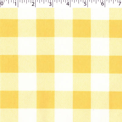 JUST BASICS BUFFALO CHECK - 1"