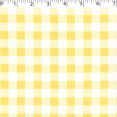 JUST BASICS BUFFALO CHECK - 1/2"