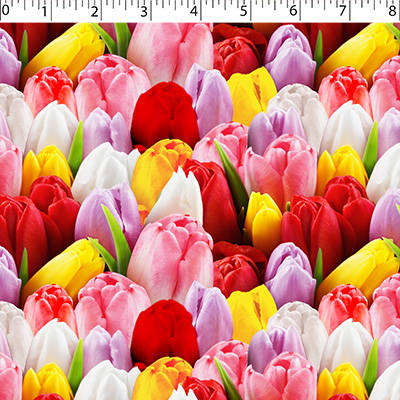 FLOWER FIELDS - TULIP