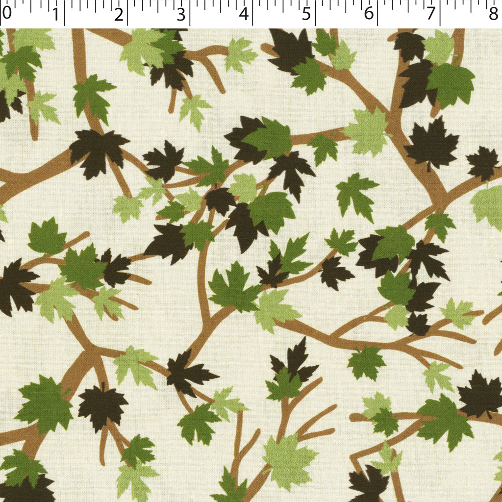 WOODLAND PARK - BRANCHING OUT