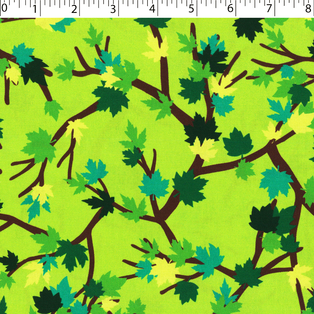 WOODLAND PARK - BRANCHING OUT