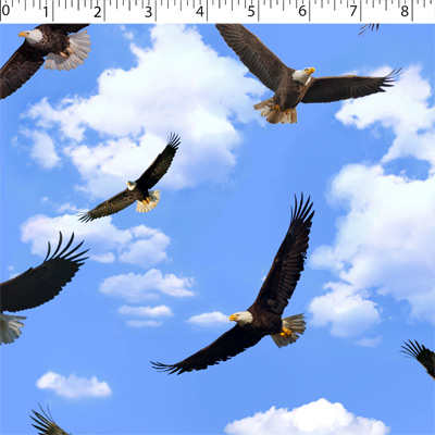 GREAT OUTDOORS - EAGLES