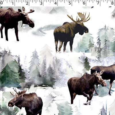 GREAT OUTDOORS - MOOSE