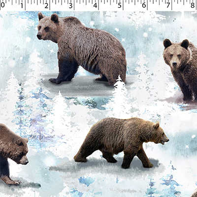 GREAT OUTDOORS - BEAR