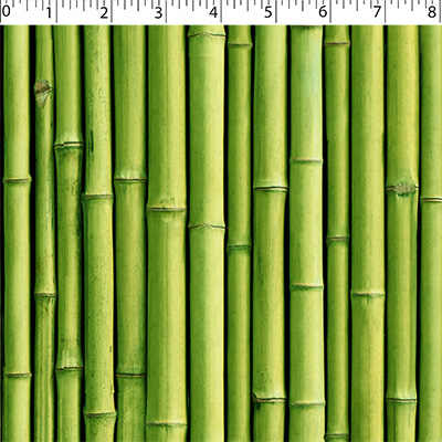 NATURE'S CREATIONS - BAMBOO