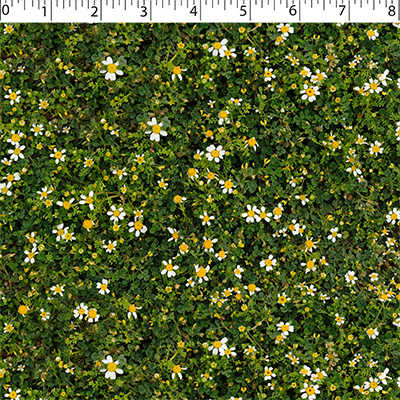 NATURE'S CREATIONS - CHAMOMILE