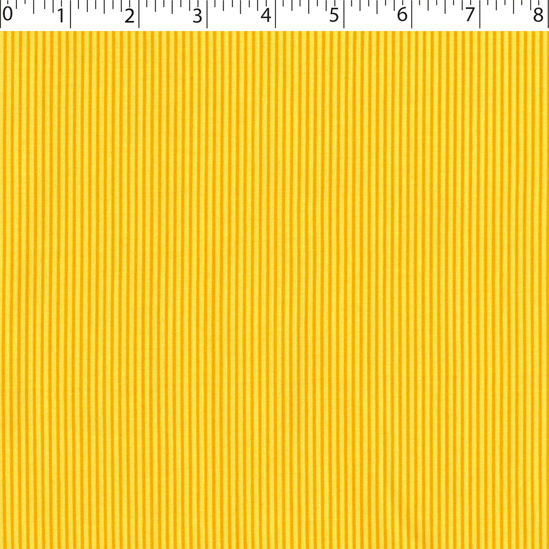 SMALL STRIPE BLENDER