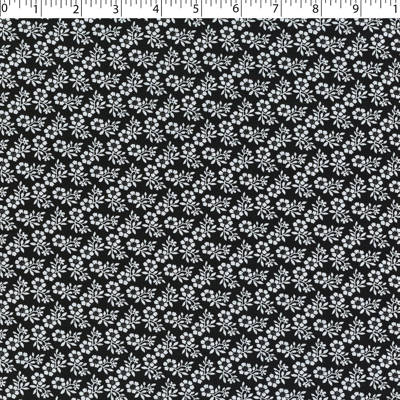 DAISY BLENDER - BLACK / WHITE