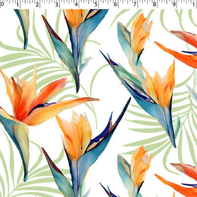 TERRA VERDE OUTDOOR PRINTS - BIRD OF PARADISE