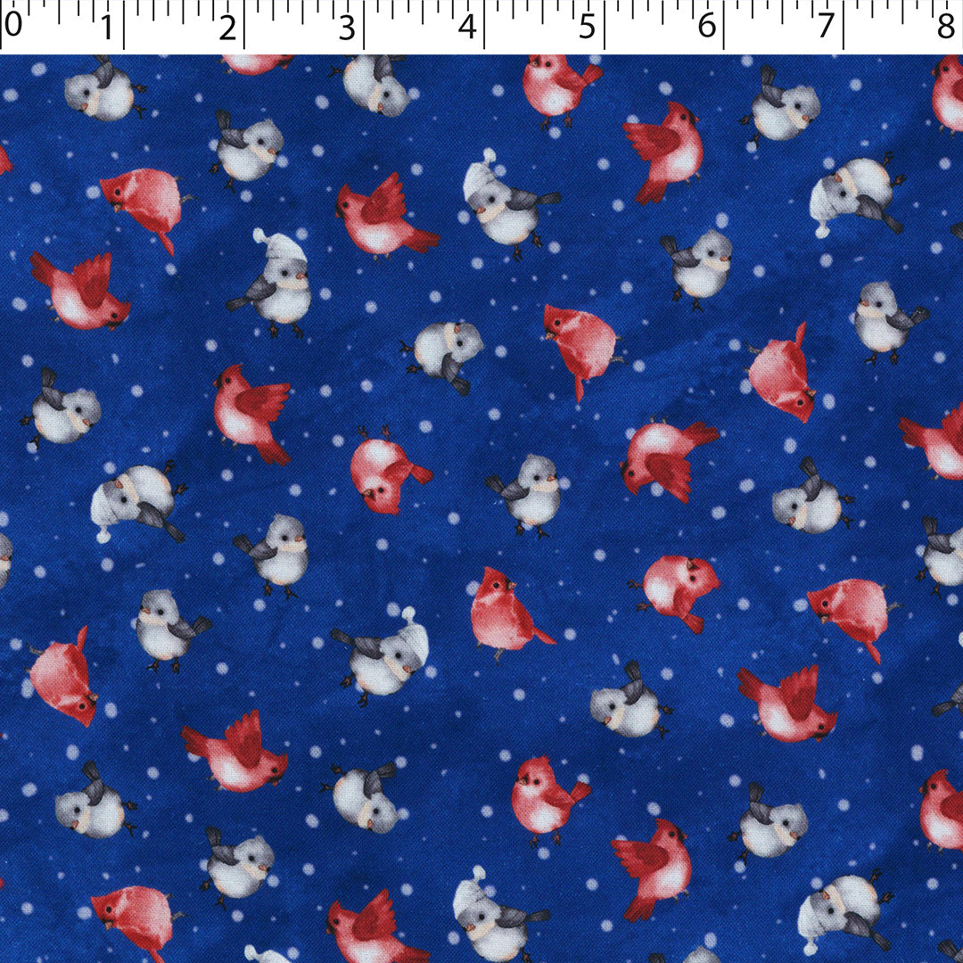 ROCKY MOUNTAIN HOLIDAY - FEATHERED FRIENDS