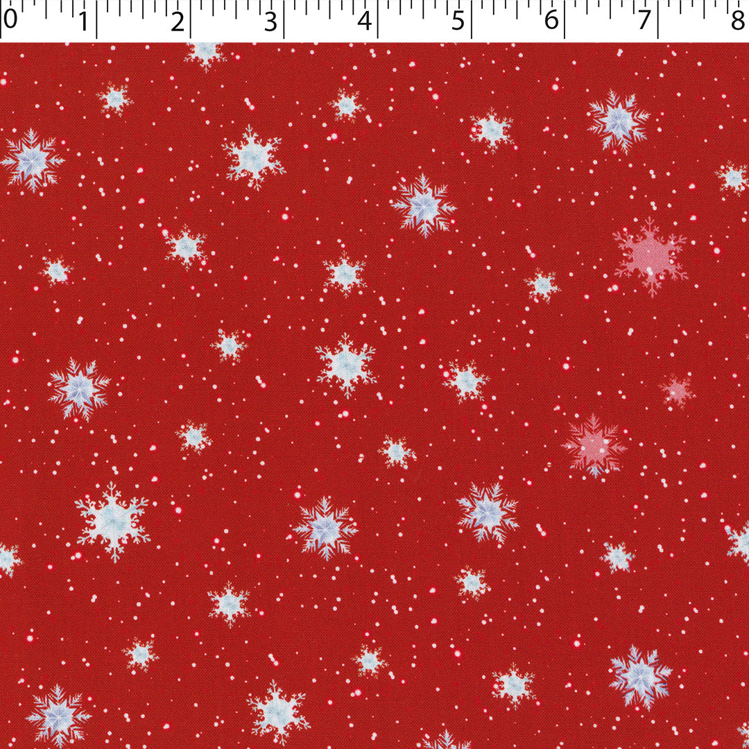 ROCKY MOUNTAIN HOLIDAY - SNOWY DAY