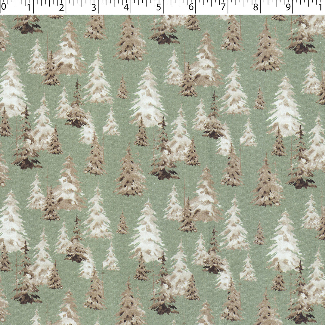 NATURAL HOLIDAYS - WINTER TREES