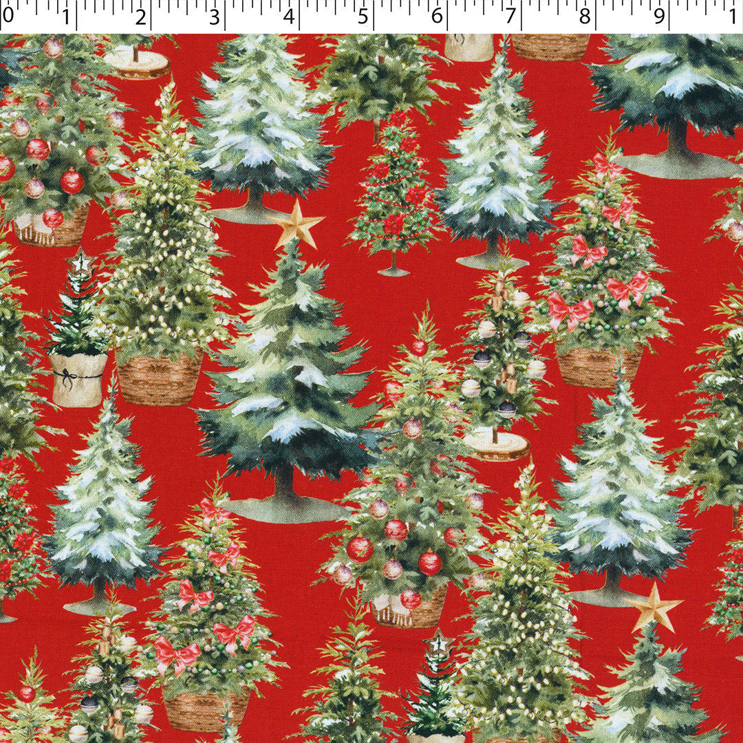 CHRISTMAS TRADITIONS - TREE LOT