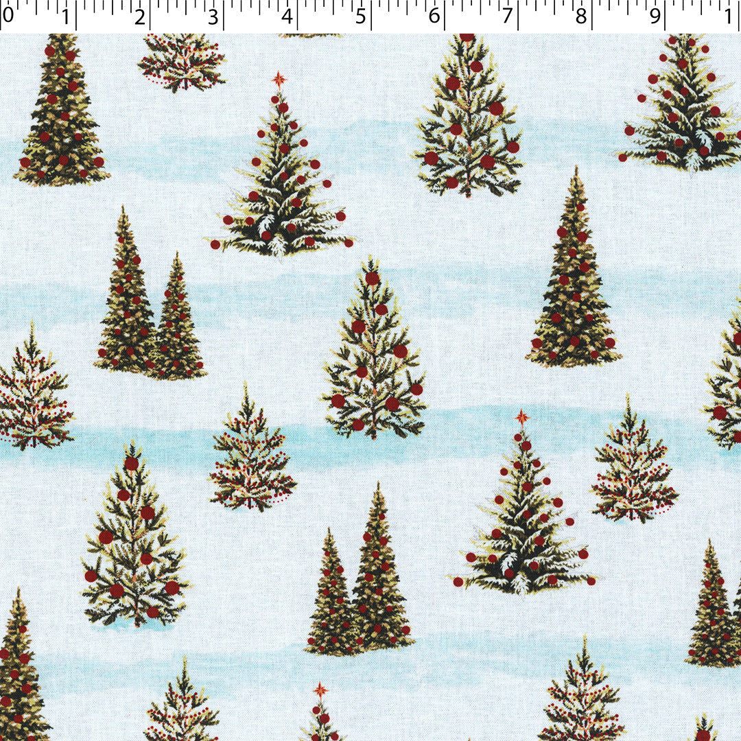 NORTH POLE