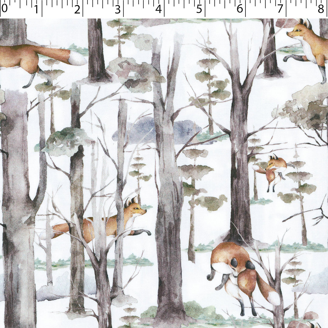 WINTER WONDERLAND II - FOX WOODS
