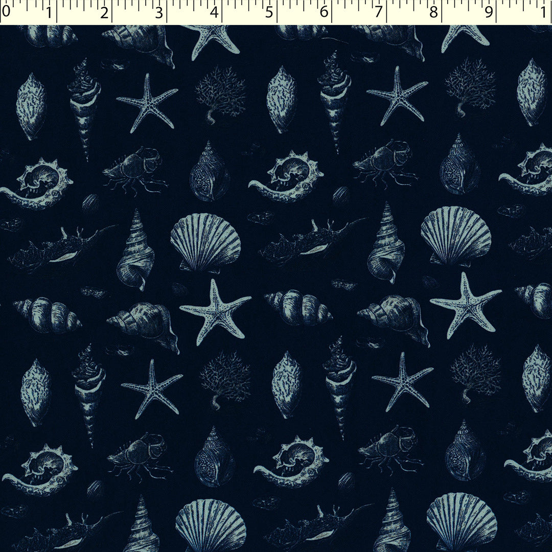 OCEAN VOYAGE - SEA SAILING