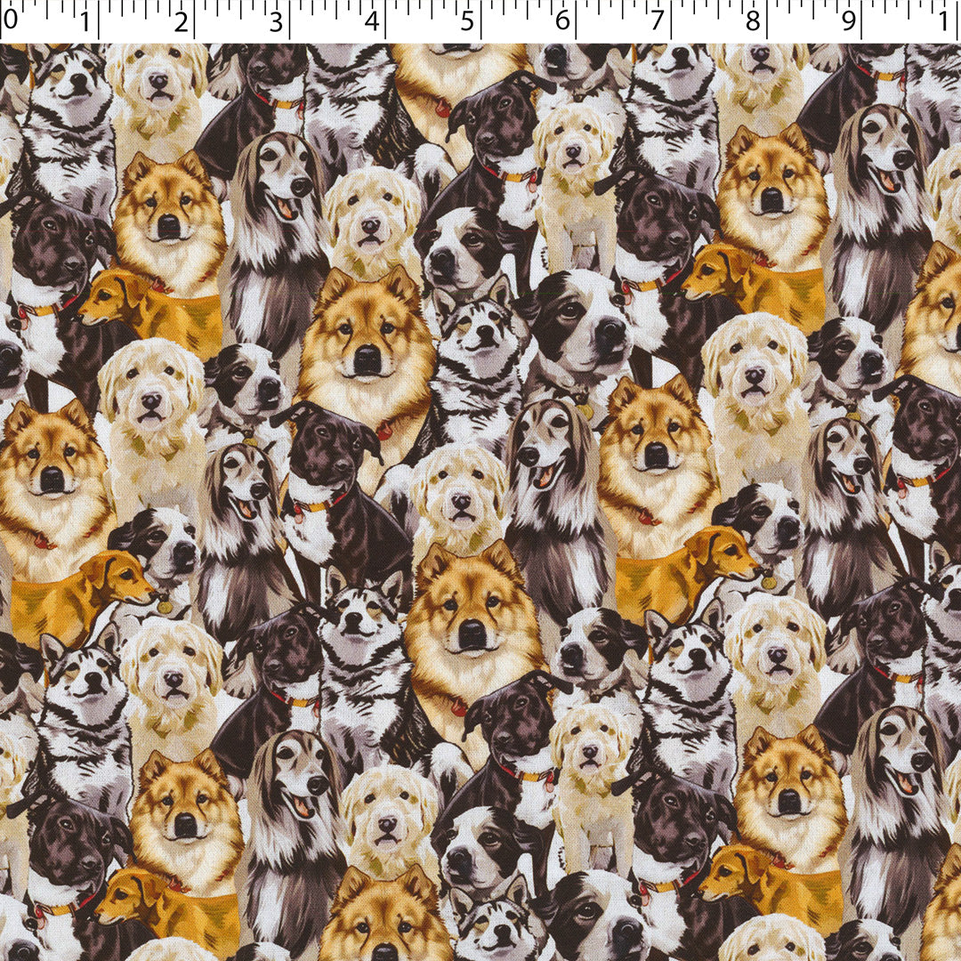 DOGS N CATS - PACKED DOGS