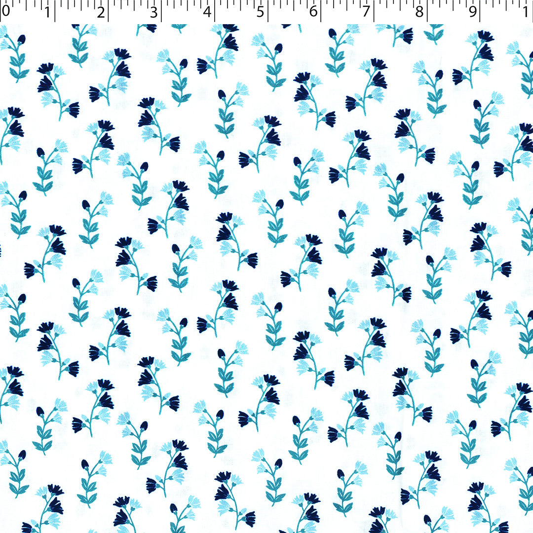 ASHBOURNE COORDINATES - SIBYL