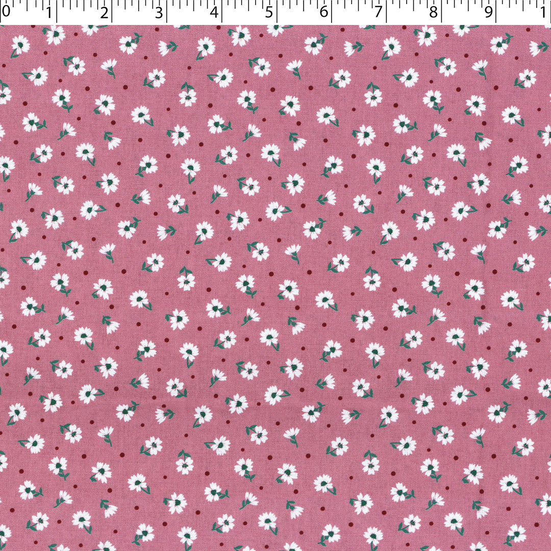 ASHBOURNE COORDINATES - CELESTE