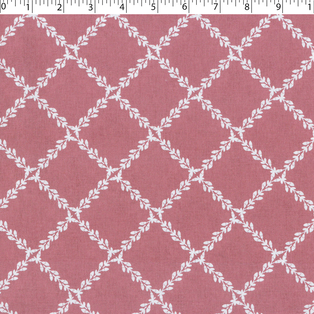 ASHBOURNE COORDINATES - LILLY