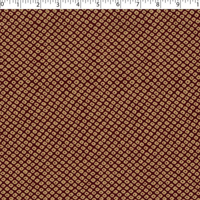 AVANTI COORDINATES - ALI
