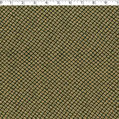 AVANTI COORDINATES - ALI