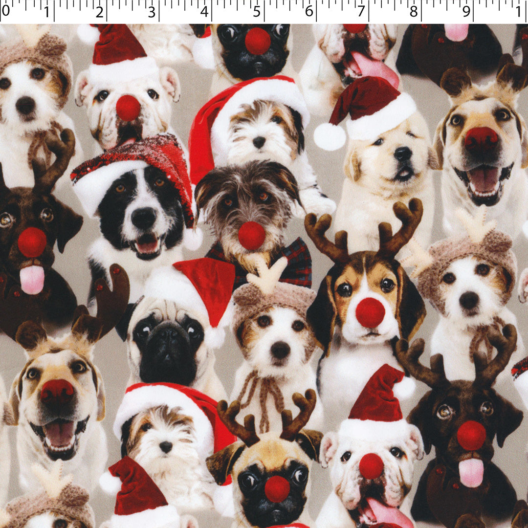 DREAMLAND - KNIT PRINTS - DOGS