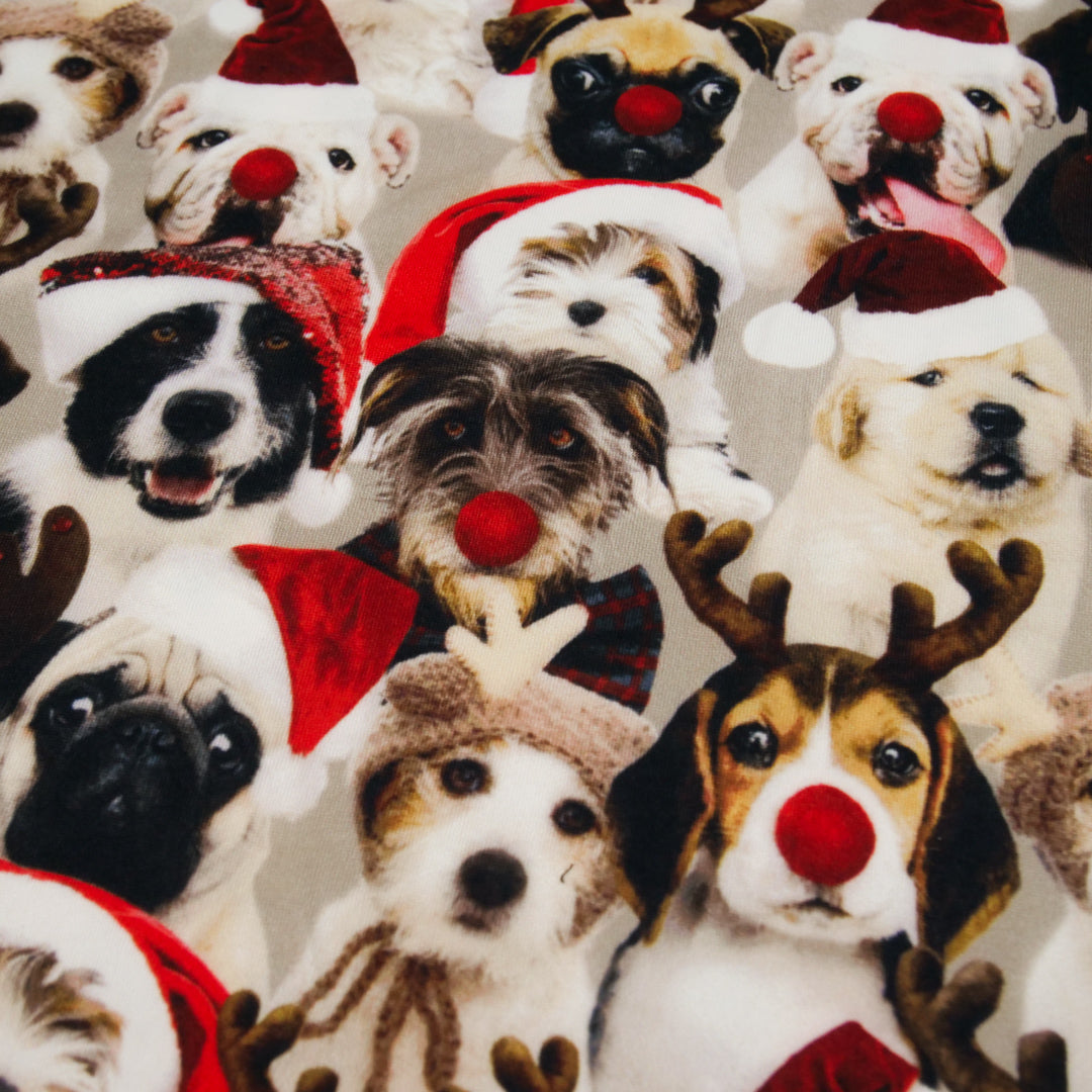 DREAMLAND - KNIT PRINTS - DOGS