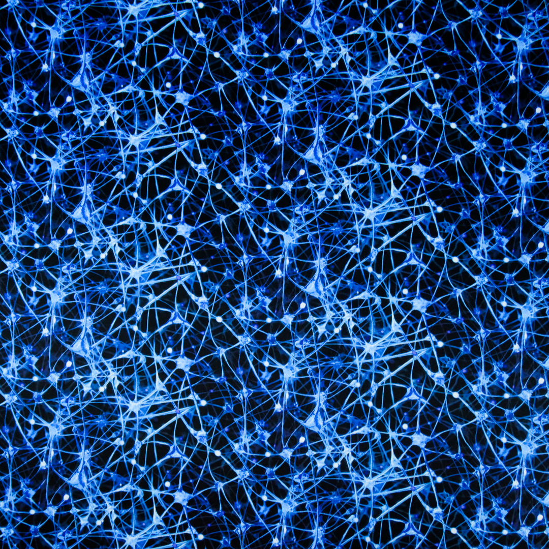 ARIELLE - KNIT PRINTS - ABSTRACT WEB