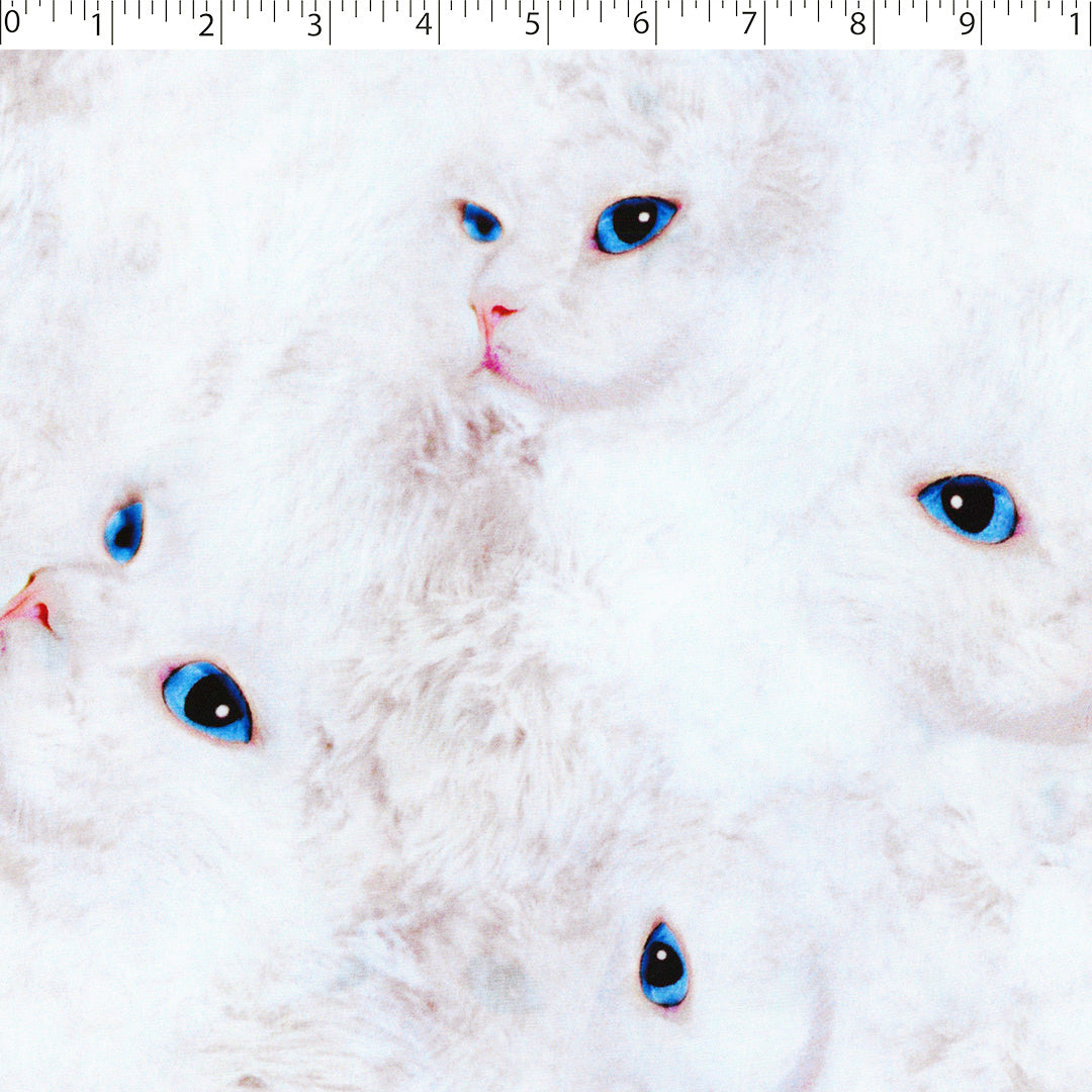 KATIE COLLECTION - RAYON POPLIN PRINTS - ALL-OVER CATS