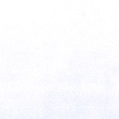 white polyester micro fleece