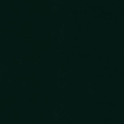 CRUISER MARINE VINYL