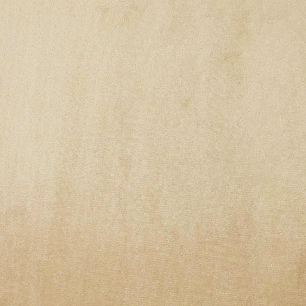 FRANCIS BACK TAB PANEL - BUFF