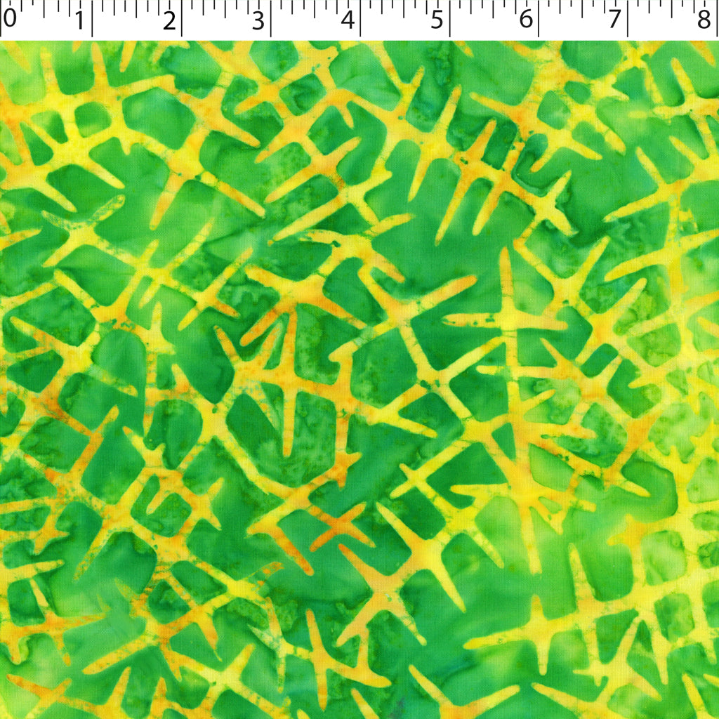 HAND DYED BATIKS - DHAP-23003