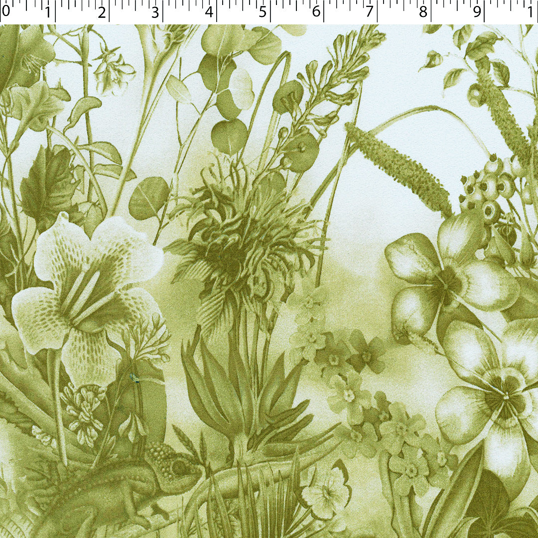 ILENE CREPE PRINTS - BOTANICAL FLORAL BORDER