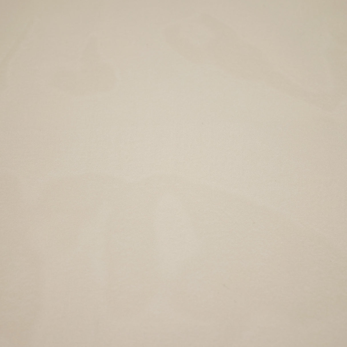 PROM NITE - SOFT ORGANZA