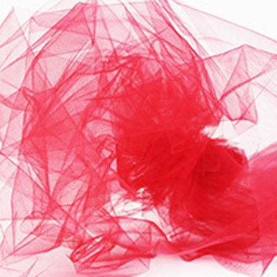 dk red nylon tulle