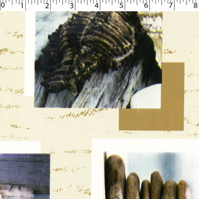 VINYL TABLING - BEACH DAY