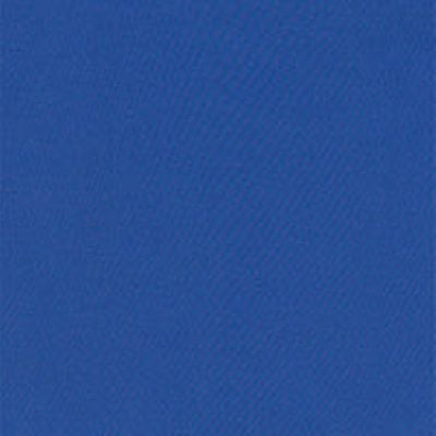 royal nylon taffeta