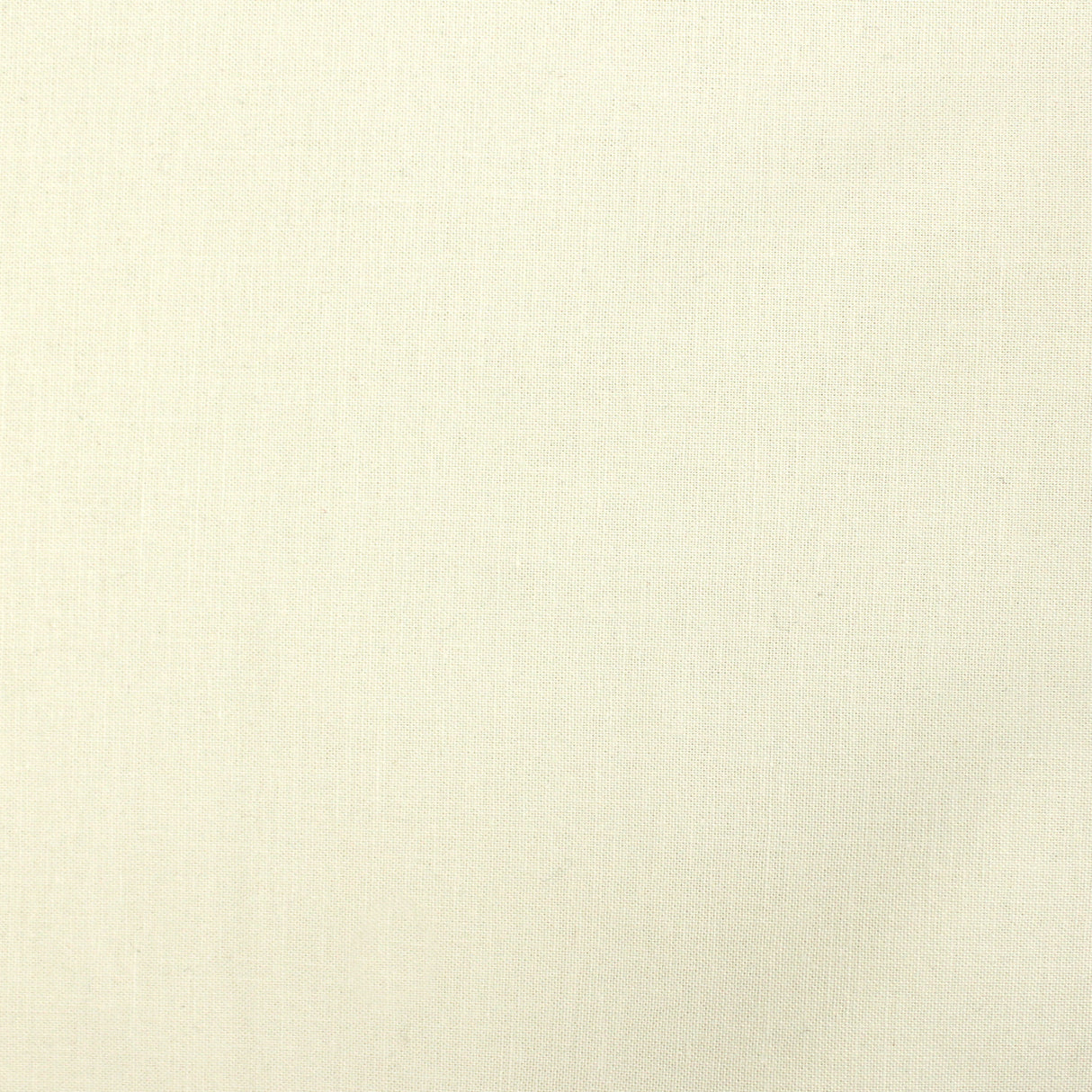 cotton colour eggshell