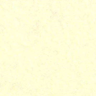 polyester fleece cream