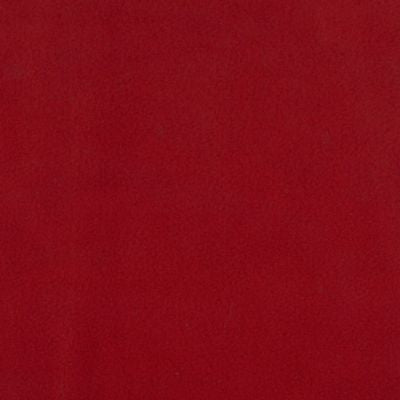 ARCTIC FLEECE SOLIDS - RED COLOUR FAMILY