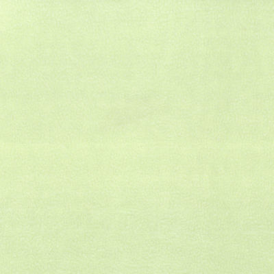 Medium weight brushed back polyester fleece in the colour of pale green