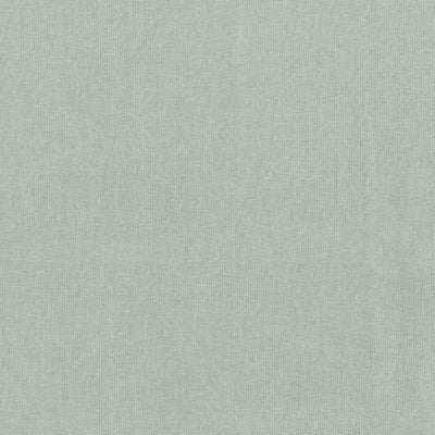 oyster mushroom organic cotton