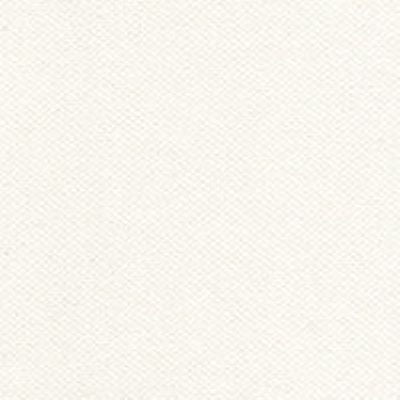 off white medium weight Polyester Knit